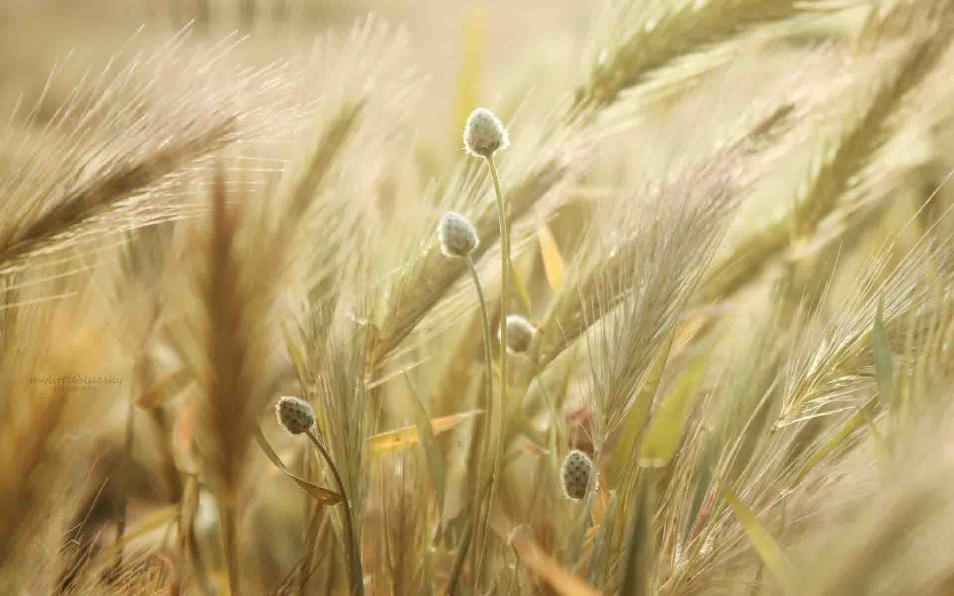 添加一篇 blog 文章